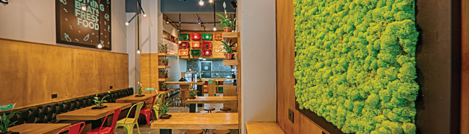 Salad-Me-Guilherme-Bez-2016