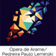 opera-de-arame-guilherme-bez